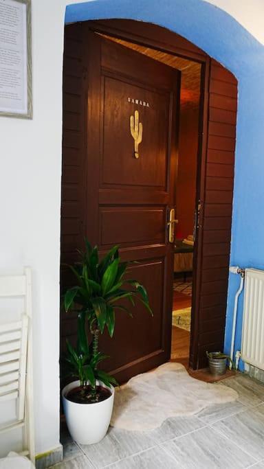 Sahara Studio With Shared Bathroom In City Centre Bratislava Dış mekan fotoğraf